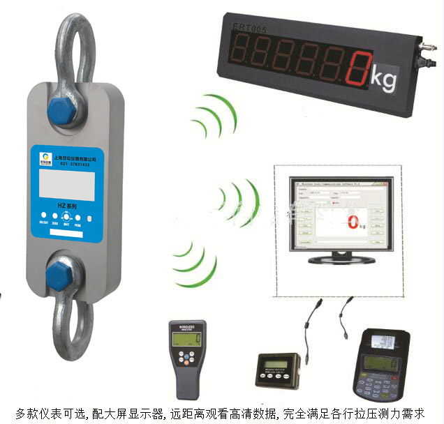 100吨推拉力计.数显式的_精度0.001%.模具厂专用